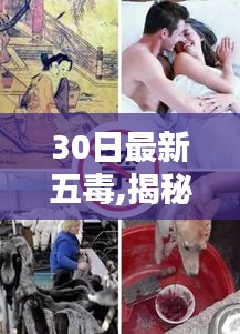 志同道合 第379頁