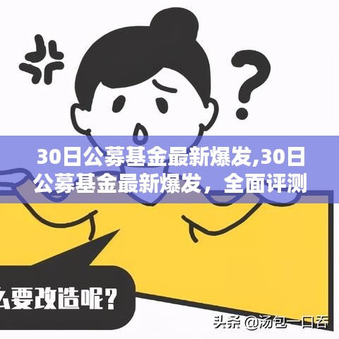 公募基金最新爆發(fā)，全面評測與介紹，洞悉市場動態(tài)！