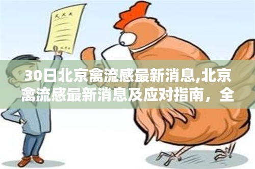 第1187頁