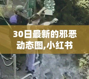 小紅書獨(dú)家揭秘，全新邪惡動(dòng)態(tài)圖盛宴，視覺震撼的30日更新