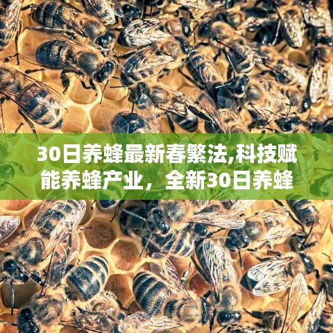 科技賦能養(yǎng)蜂產業(yè)，全新30日春繁法引領時代潮流的養(yǎng)蜂技術革新