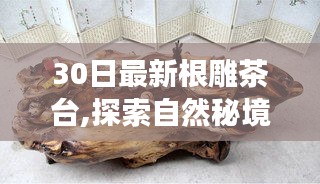 自然秘境探索，根雕茶臺的靜謐時光，心靈洗滌之旅
