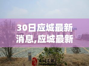 應(yīng)城最新消息速遞，聚焦30日要點(diǎn)解析