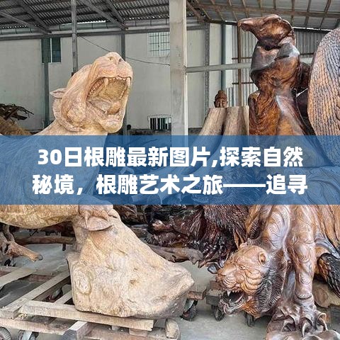 嗅APP 第354頁