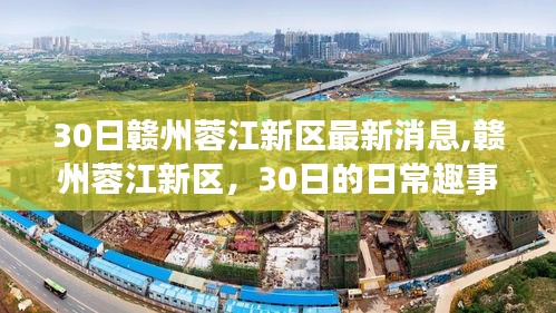 贛州蓉江新區(qū)30日最新消息，日常趣事與溫情紐帶