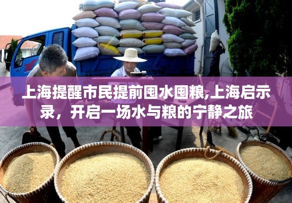 上海水糧儲備啟示錄，提前準備，開啟安寧之旅