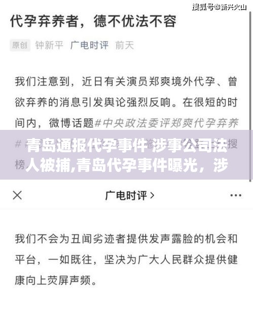 青島代孕事件曝光，涉事公司法人被捕，事件始末及影響深度解析