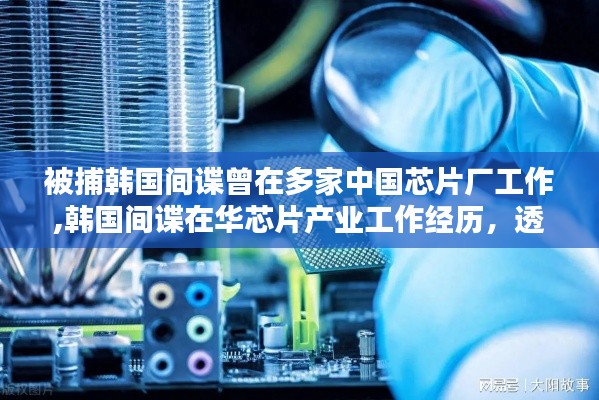 韓國間諜在華芯片產(chǎn)業(yè)工作經(jīng)歷揭秘，透視背后復(fù)雜議題