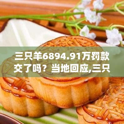 三只羊巨額罰款執(zhí)行情況揭秘，當(dāng)?shù)鼗貞?yīng)與全面評估