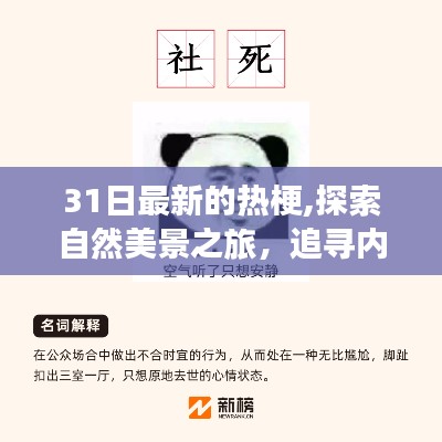 探索自然美景之旅，遇見最新熱梗，追尋內(nèi)心寧靜的新境界