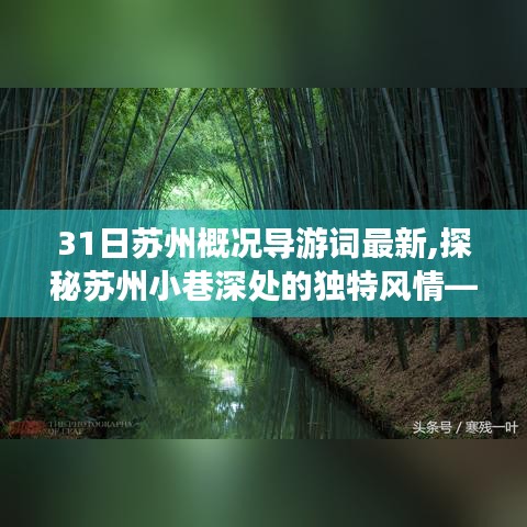 探秘蘇州小巷深處的獨(dú)特風(fēng)情，揭秘隱藏版特色小店的神秘面紗（最新導(dǎo)游詞）