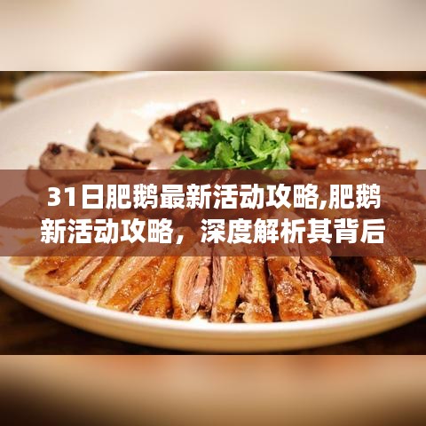 深度解析肥鵝新活動(dòng)背后的價(jià)值爭(zhēng)議，最新活動(dòng)攻略揭秘