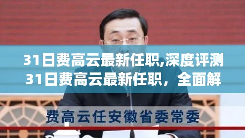 深度解讀，費高云最新任職角色、特性與競爭態(tài)勢的全面評測與體驗分析