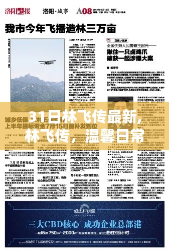 林飛傳，溫馨日常的歡樂與友情紐帶