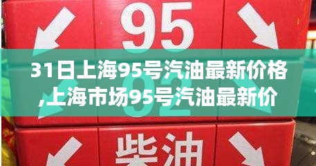 上海市場(chǎng)95號(hào)汽油最新價(jià)格動(dòng)態(tài)及走勢(shì)分析，多方觀點(diǎn)碰撞與個(gè)人見解深度探討