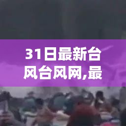 最新臺風(fēng)動態(tài)報(bào)告，臺風(fēng)網(wǎng)全面解析臺風(fēng)動態(tài)及報(bào)告更新情況