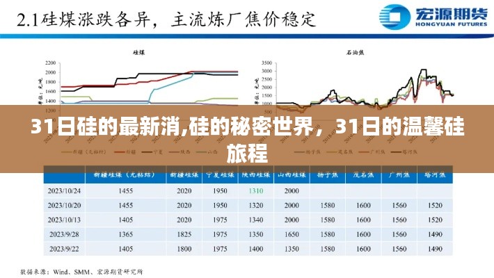 硅的秘密世界，探尋硅的秘密與溫馨旅程的啟示