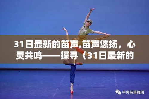 探尋31日最新笛聲的魅力，笛聲悠揚(yáng)，心靈共鳴