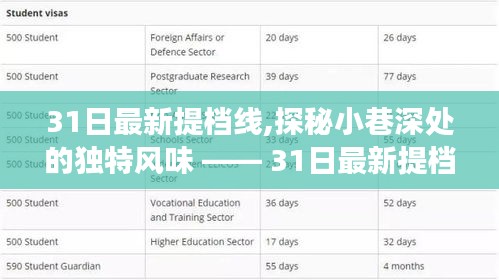 探秘小巷深處的獨(dú)特風(fēng)味，揭秘31日最新提檔線背后的美味故事