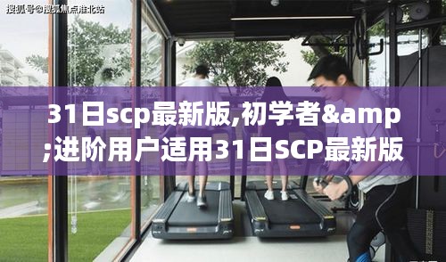 31日SCP最新版任務(wù)指南，從初學(xué)者到進(jìn)階用戶的全面解析與技能學(xué)習(xí)