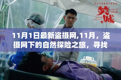 盜攝網(wǎng)下的自然探險(xiǎn)之旅，尋找內(nèi)心的平和與寧靜（11月最新）