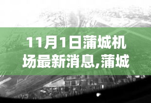 蒲城機場最新動態(tài)，11月1日的飛躍與影響分析