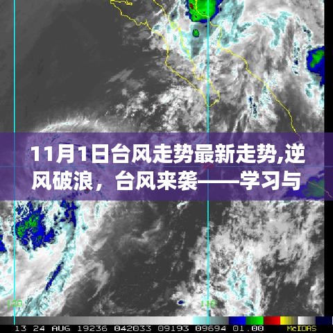 臺風來襲與自我成長，逆風破浪中的自信與成就感塑造之路