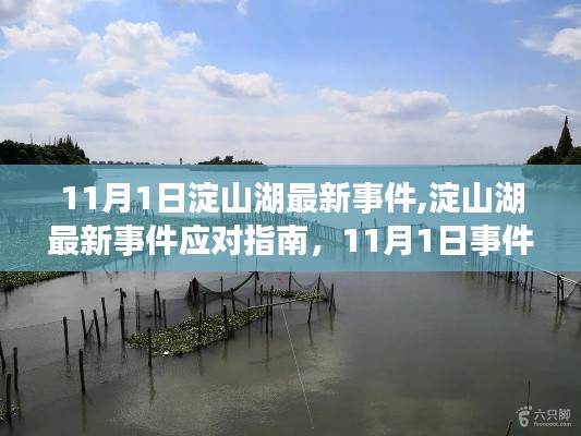 淀山湖應(yīng)對指南，最新事件處理全步驟詳解