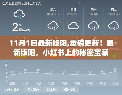 最新版陽，小紅書上的秘密寶藏重磅更新，等你來探索！