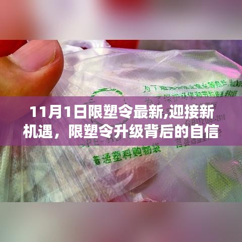限塑令升級(jí)背后的自信與成就之旅，新機(jī)遇與挑戰(zhàn)的迎接
