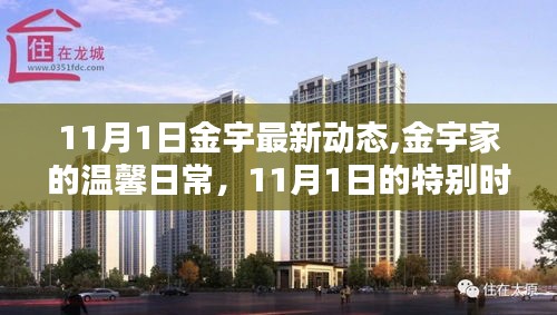金宇11月1日最新動態(tài)，溫馨日常的特別時光