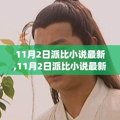 11月2日派比小說最新更新，輕松獲取與閱讀的指南