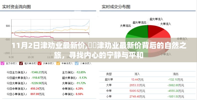 津勸業(yè)最新價背后的心靈之旅，探尋內(nèi)心寧靜與平和的奧秘