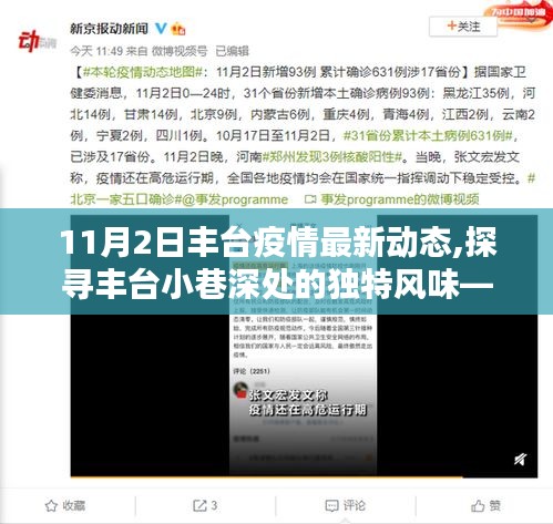 豐臺疫情最新動態(tài)，小巷深處的風味，記錄疫情下的一抹生機