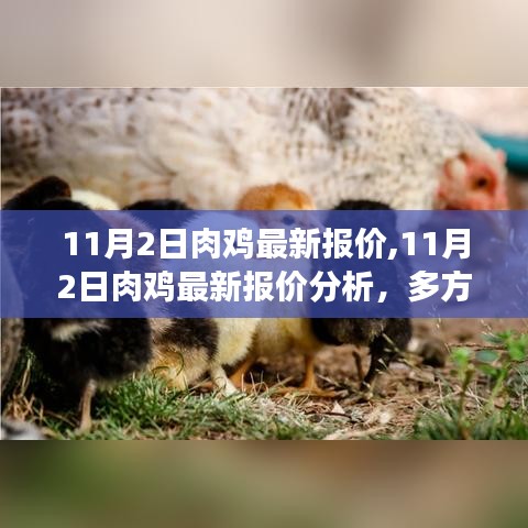 多方觀點交織的思考，11月2日肉雞最新報價及分析