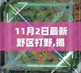 野區(qū)野趣特色小店探險記，揭秘小巷深處的獨特風味