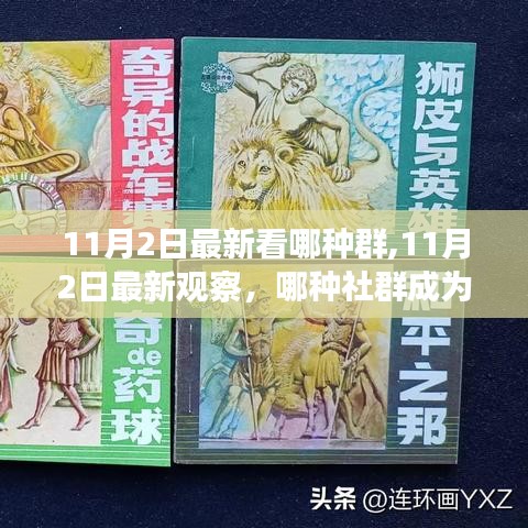 11月2日最新觀察，揭秘成為新時代引領力量的社群類型