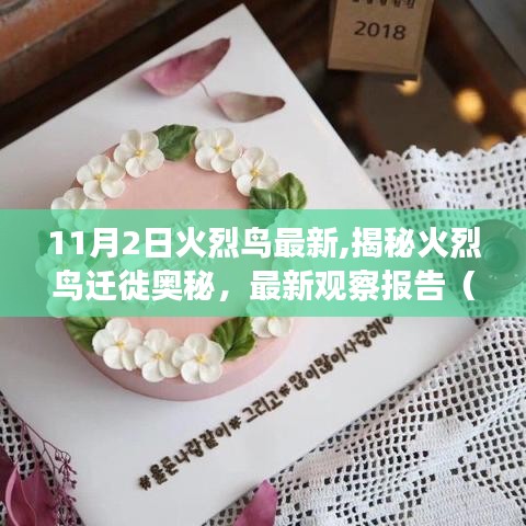 揭秘火烈鳥遷徙奧秘，最新觀察報告（以火烈鳥遷徙觀察報告）發(fā)布于11月2日