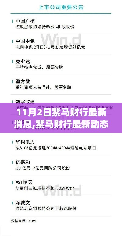 紫馬財(cái)行最新動(dòng)態(tài)與行業(yè)震蕩展望，未來趨勢(shì)揭秘（11月最新消息）