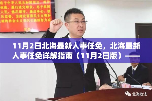 北海最新人事任免詳解，11月2日更新及指南（入門到精通）