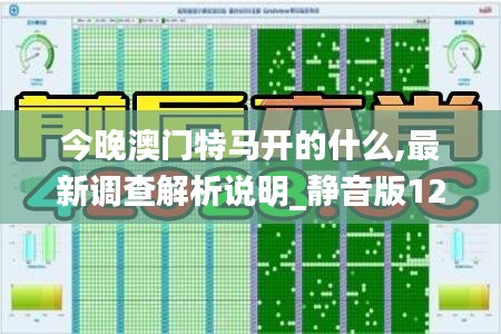 今晚澳門特馬開的什么,最新調(diào)查解析說(shuō)明_靜音版12.784