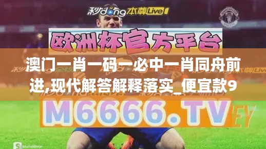 澳門一肖一碼一必中一肖同舟前進,現(xiàn)代解答解釋落實_便宜款97.664