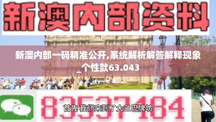 新澳內(nèi)部一碼精準(zhǔn)公開,系統(tǒng)解析解答解釋現(xiàn)象_個(gè)性款63.043