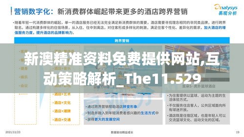 新澳精準(zhǔn)資料免費(fèi)提供網(wǎng)站,互動策略解析_The11.529