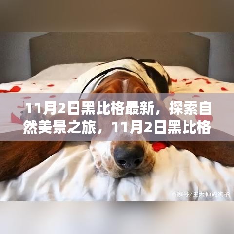 11月2日黑比格自然探索之旅，寧?kù)o呼喚與心靈之旅