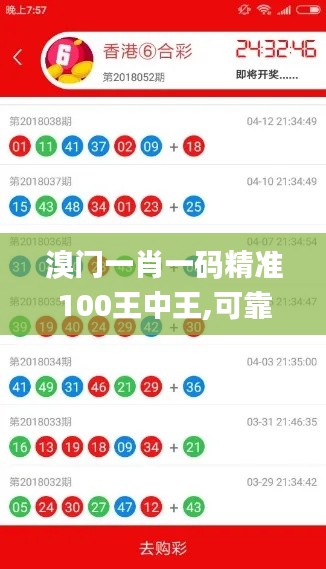 溴門一肖一碼精準(zhǔn)100王中王,可靠信息解析說明_過渡版18.408