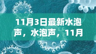 水泡聲回響與影響，揭秘最新動態(tài)，聚焦11月3日事件