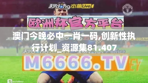 澳門(mén)今晚必中一肖一碼,創(chuàng)新性執(zhí)行計(jì)劃_資源集81.407