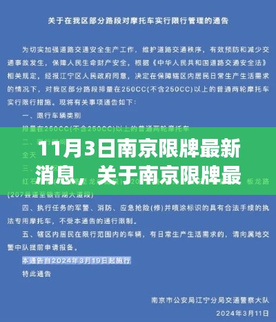 南京限牌最新動(dòng)態(tài)解析，深度解讀與探討（以11月3日為準(zhǔn)）