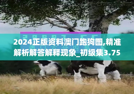 2024正版資料澳門跑狗圖,精準(zhǔn)解析解答解釋現(xiàn)象_初級集3.754